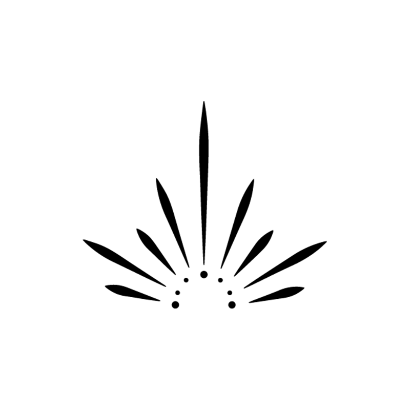 קעקוע זרקונים