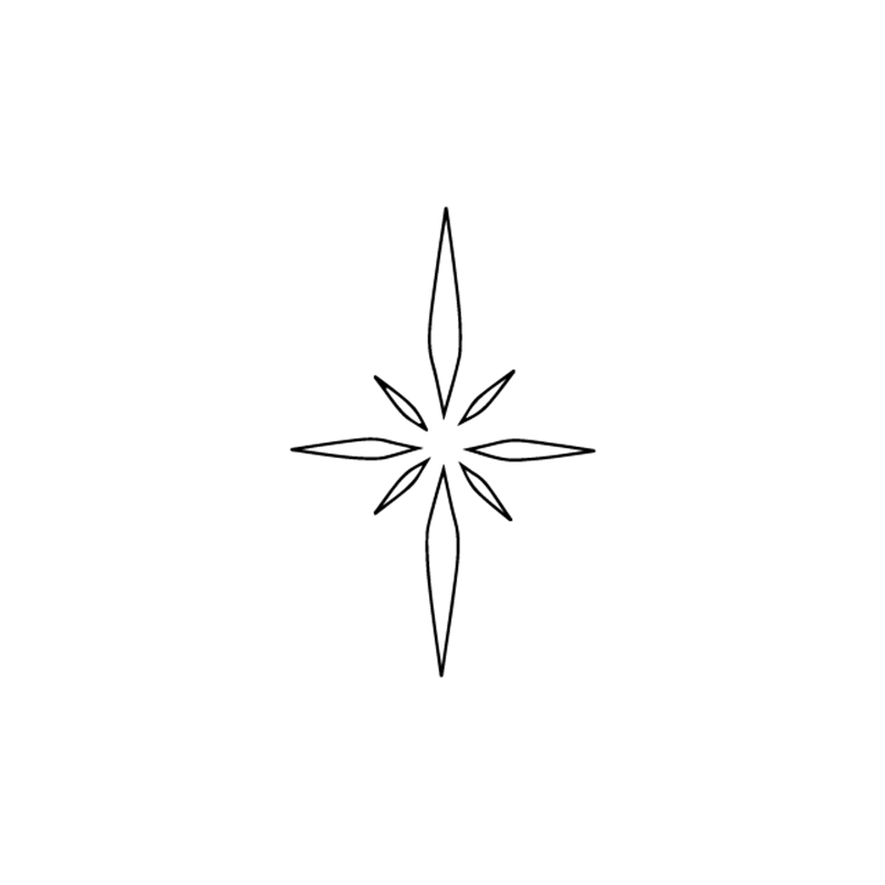 קעקוע זרקונים 3